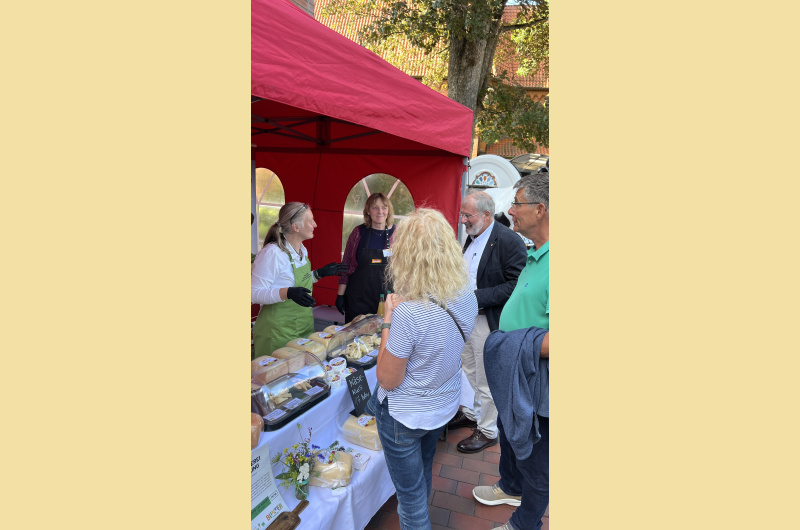 Käseverkostung Weinfest Schwarzenbek