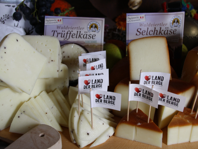 Bildungsreise Österreich