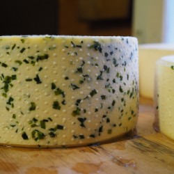 Verband der Käse-Sommeliers e.V.