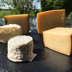Verband der Käse-Sommeliers e.V.